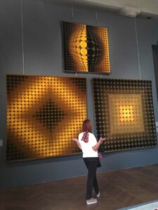 The Optical Art by Victor Vasarely