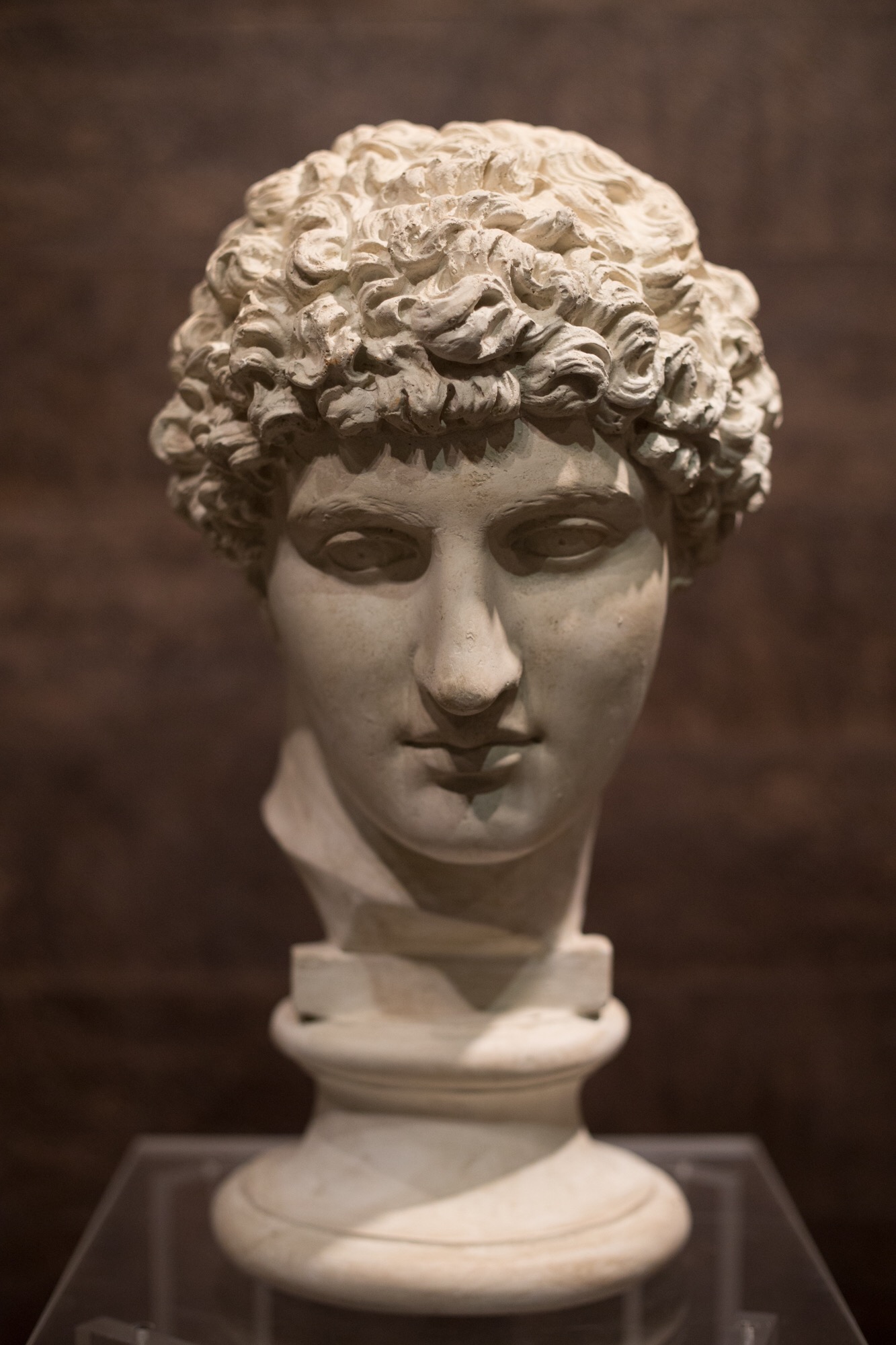 19th Century Italian Plaster Bust Antinous