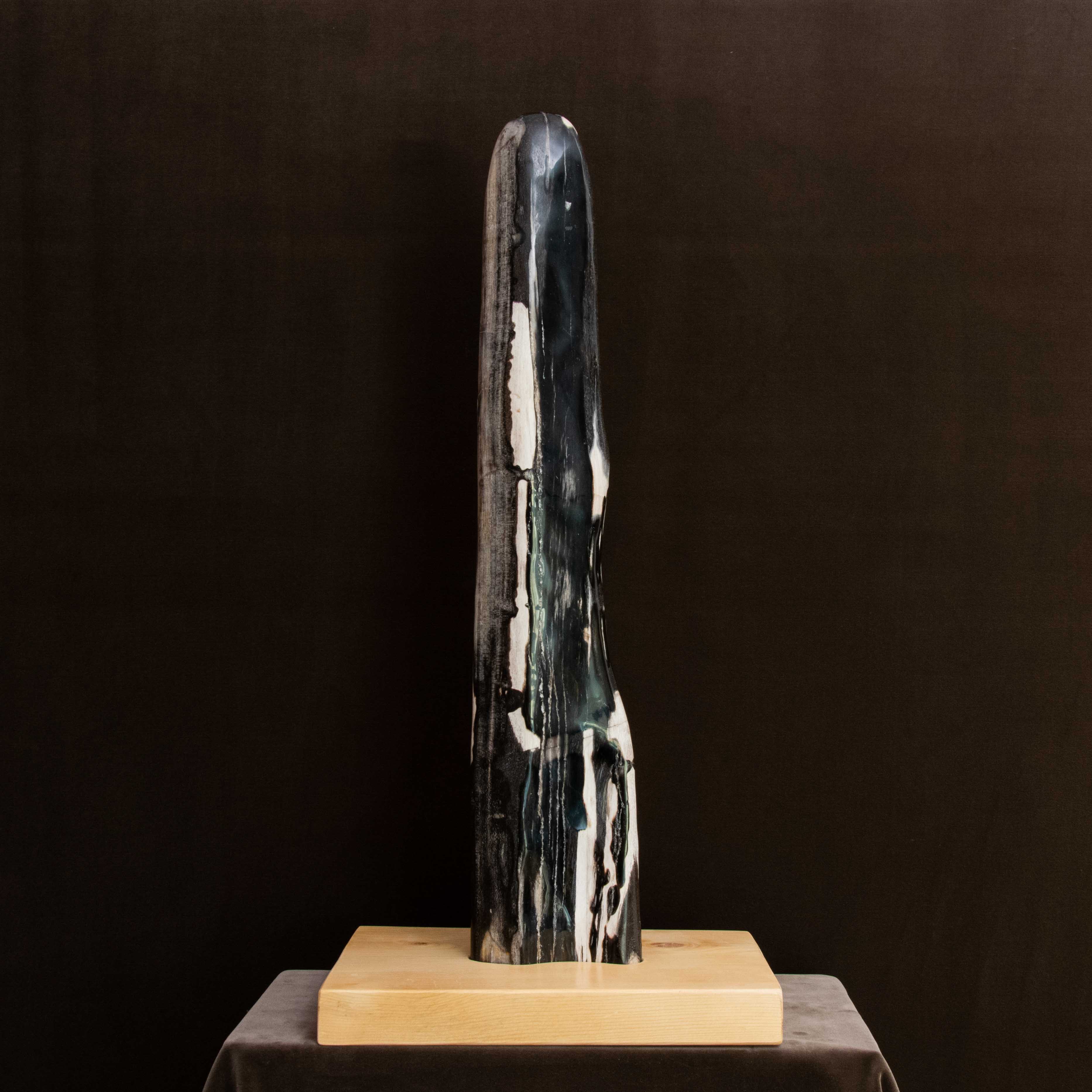 Marbre Noir Sculpture Fossile en Bois Pétrifié
