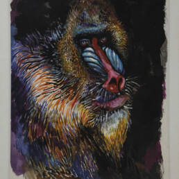 Lithographie babouin signé Renato Guttuso