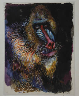 Lithographie babouin signé Renato Guttuso