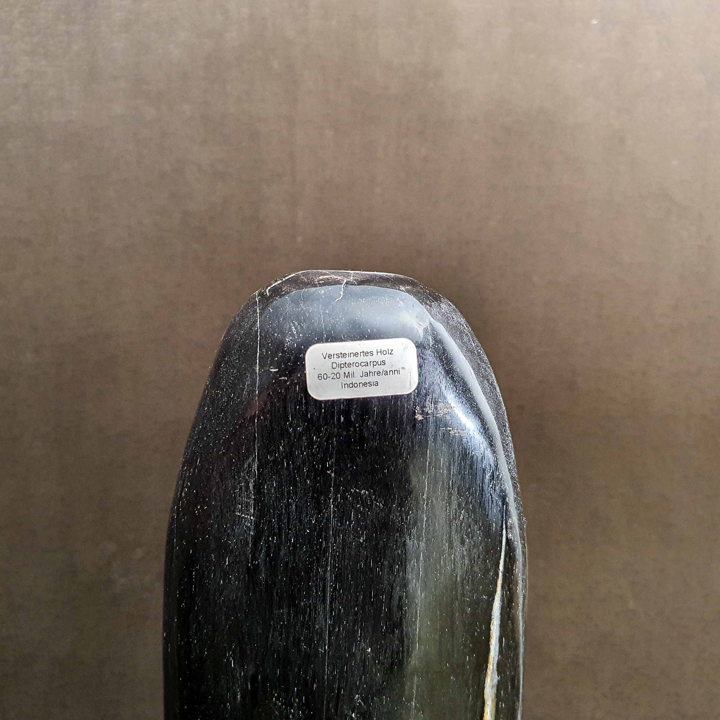 Étiquette Sculpture Noir en Fossile Bois Pétrifié