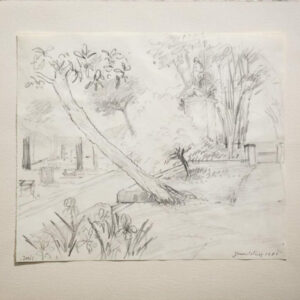 Gérard Diaz  Iris Pencil Drawing