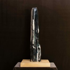 Petrified Fossil Wood Sculpture