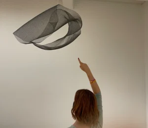 Arte cinetica Concavo Convesso Bruno Munari