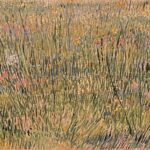 Van Gogh a Palazzo Bonaparte su Egidi MadeinItaly