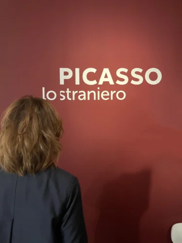 Picasso lo straniero su Egidi MadeinItaly
